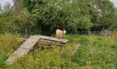 Trail Walking Palaiseau - Le tour de Villebon - Photo 7