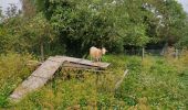 Tocht Stappen Palaiseau - Le tour de Villebon - Photo 7