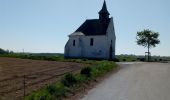 Randonnée Marche Court-Saint-Étienne - vignoble de Bousval - Photo 2