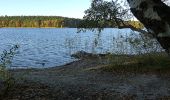 Tour Zu Fuß Schwarz - Rundweg Wummsee - Photo 2