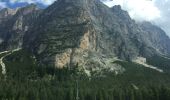 Trail On foot Cortina d'Ampezzo - IT-208 - Photo 7