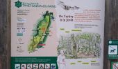 Randonnée Marche Le Valtin - VOSGES 2023 - Col de la Schlucht - Les Rochers de Hirschteine - Photo 5