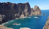 Trail Walking Caniçal - Madère : la presqu'île de Sao Lourenço - Photo 17