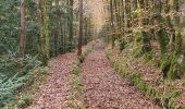 Tocht Stappen Huelgoat - Forêt Huelgoat - Photo 14