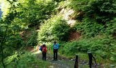 Trail Walking Bagnères-de-Bigorre - LESPONNE courtaou  de la lit G3 B fait le 12/06/2020 - Photo 4