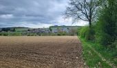 Trail Walking Ciney - Chapois 150425 - Photo 2
