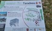 Percorso Marcia Taradeau - Taradeau Table d orientation - Oppidum - Photo 16