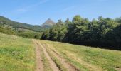 Trail Walking Saint-Jacques-des-Blats - st Jacques les blats pour griou  fon de cere - Photo 4