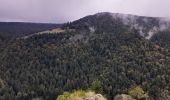 Tour Wandern La Bourboule - La Bourboule - Roche de Vendée- Rocher de l Aigle - Photo 10