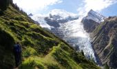 Randonnée Marche Chamonix-Mont-Blanc - La Jonction (Les Houches) - Photo 17