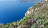 Randonnée Marche La Ciotat - st fretouse le semaphore belvédère la  route des crêtes  - Photo 3