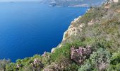 Tour Wandern La Ciotat - st fretouse le semaphore belvédère la  route des crêtes  - Photo 3