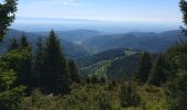 Tour Wandern Metzeral - rando vosges grand ballon - Photo 1