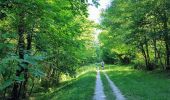 Tour Wandern Nesles-la-Montagne - Nesles la Montagne du 02/06/2020 - Photo 5