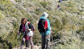 Excursión Senderismo Aureille - PF-Aureille - La Vallongue d'Aureille - MDu - Photo 14