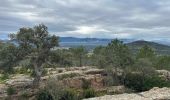 Percorso  Bagnols-en-Forêt - Gorges de Blavet pays de Fayence - Photo 2