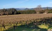Tour Wandern Roquebrune-sur-Argens - z rando dans les vignes 15-01-19 - Photo 6