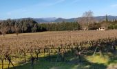 Percorso Marcia Roquebrune-sur-Argens - z rando dans les vignes 15-01-19 - Photo 6