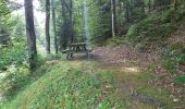 Trail Walking Villé - Villé - vierge noire - château Honcourt - la grotte - Photo 6