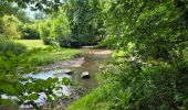 Tocht Stappen Chimay - Lompret - bois de Blaimont - Lompret - Photo 5