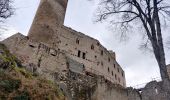 Excursión Senderismo Mittelbergheim - 2023-02-25 Marche Châteaux Andlau Spessbourg Landsberg - Photo 2