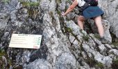 Randonnée Marche Brizon - BARGY: SOLAISON - CENISE PAR LE MAUVAIS PAS - ROCHERS DE LESCHAUX - Photo 3