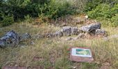 Excursión Senderismo Marolles - Site naturel et archéologique de la Grande Pierre et Vitain - Photo 14