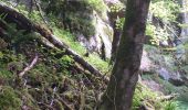 Tour Wandern Villers-le-Lac - Le Pisoux - Photo 14