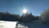 Randonnée Raquettes à neige Saint-Agnan-en-Vercors - Beure - Écondus - Photo 19