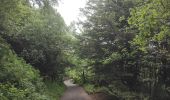 Trail Walking Orcines - Montée au Puy de Dôme et temple de Mercure  - Photo 17