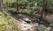 Excursión Senderismo Aywaille - en remontant l'Amblève et en redescendant le Ninglinspo - Photo 11