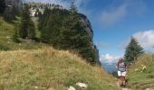 Trail Walking La Roche-sur-Foron - GLIERES / BORNES: LE CHESNET - SUR COU - COL DU FREU - Photo 6