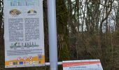 Trail Walking Charmé - La balade de Charmé 16 - Photo 6