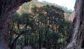 Tour Wandern Bagnols-en-Forêt - Gorges du Blavet au col de la pierre du coucou - Photo 3