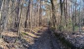 Trail Walking Kelmis - Venn Trilogie (1er étape) - Photo 12