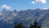 Excursión Senderismo La Clusaz - ARAVIS: TETE DU DANAY via Mortenay et Pézerette - Photo 7