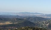 Trail Walking Bormes-les-Mimosas - les 3 cols Bormes les Mimosas  - Photo 11