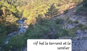 Randonnée Marche Guillestre - guillestre, rif bel,col de la scie, crete de vars,la coulette et retour par riou bel - Photo 3