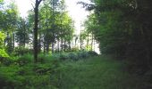 Randonnée Marche Oigny-en-Valois - en forêt de Retz_81_vers les étangs de Bourcq et sur le GR11 - Photo 20