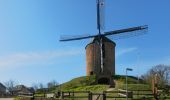 Trail On foot Montferland - Galgenberg route - Photo 8