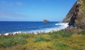 Tour Wandern São Jorge - Chemin côtier de Sao Jorge, Jardim do Mar - Photo 4