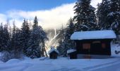 Randonnée Raquettes à neige Orsières - Champex Lac - Arpette - Champex Lac - Photo 18