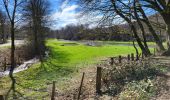 Tour Wandern Bertrix - Auby sur Semois 140324 - Photo 14