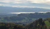 Randonnée A pied Wald (ZH) - Wald - Farneralp - Photo 6