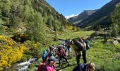 Percorso A piedi Unknown - Andorre : Parc de Sorteny - Photo 12