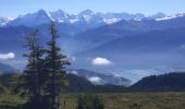 Tocht Stappen Beatenberg - Niederhorn - Photo 12