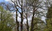 Randonnée A pied Idstein - Rund um den Hexenturm - Photo 1