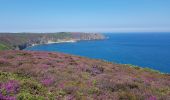 Trail Walking Plévenon - du Fort La Latte au Cap Fréhel - Photo 12