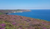 Tour Wandern Plévenon - du Fort La Latte au Cap Fréhel - Photo 12