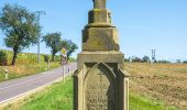 Tour Zu Fuß Contern - Auto Pédestre Oetrange - Photo 6